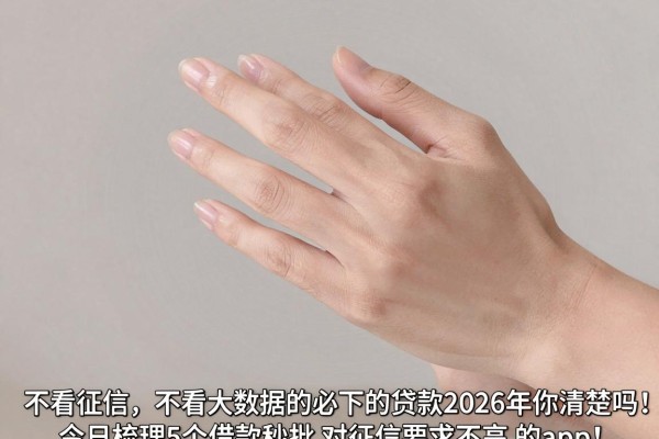 不看征信,不看大数据的必下的贷款2026年你清楚吗！今日梳理5个借款秒批 对征信要求不高 的app