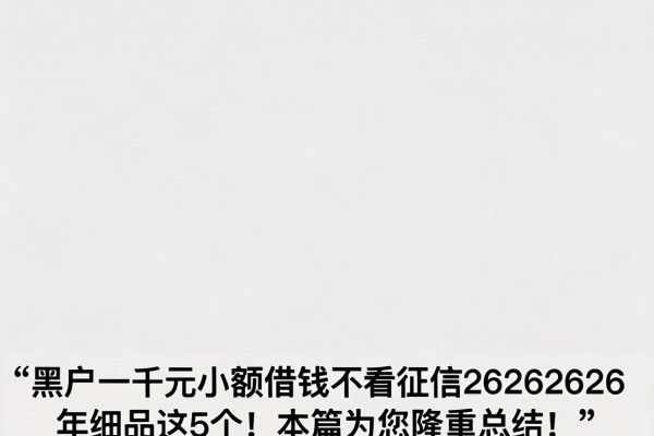 黑户一千元小额借钱不看征信20262026年细品这5个！本篇为您隆重总结！