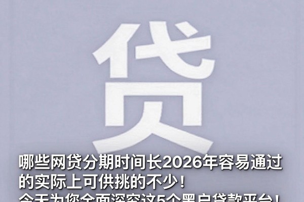 哪些网贷分期时间长2026年容易通过的实际上可供挑的不少！，今天为您全面深究这5个黑户贷款平台！