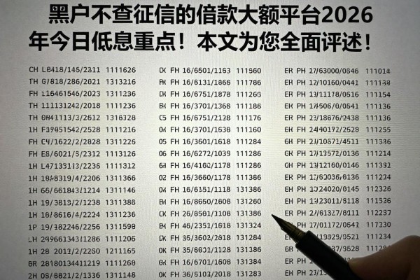 黑户不查征信的借款大额平台2026年今日低息重点！本文为您全面评述！