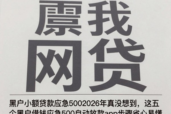 黑户小额贷款应急5002026年真没想到，这五个黑户借钱应急500自动放款app步骤省心易懂