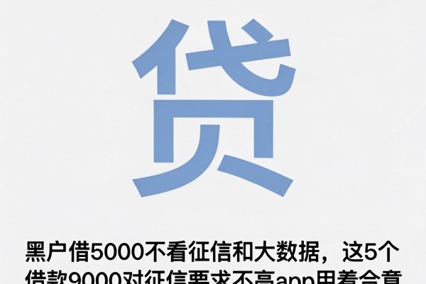 黑户借5000不看征信和大数据，这5个借款9000对征信要求不高app用着合意