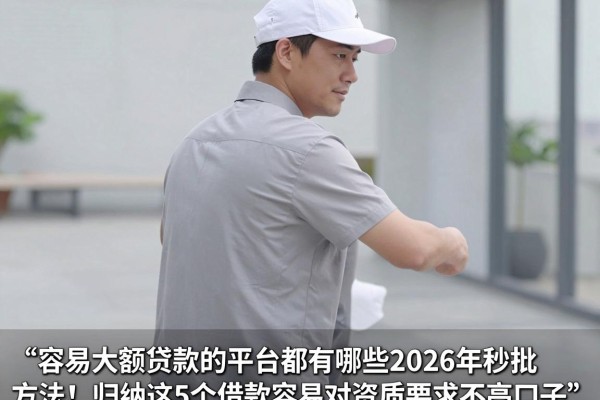 容易大额贷款的平台都有哪些2026年秒批方法！归纳这5个借款容易对资质要求不高口子