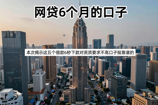 网贷6个月的口子，本次揭示这五个借款6秒下款对资质要求不高口子挺靠谱的