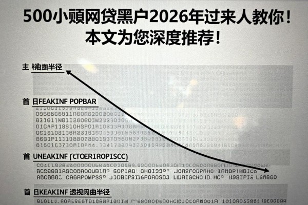 500小额网贷黑户2026年过来人教你！本文为您深度推荐！