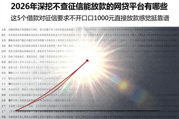 2026年深挖不查征信能放款的网贷平台有哪些，这5个借款对征信要求不高口子1000元直接放款感觉挺靠谱