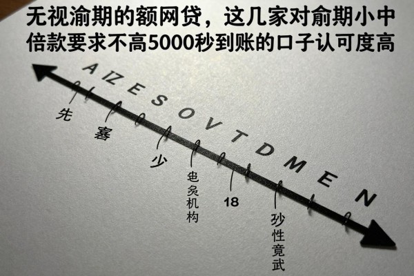 无视逾期的小额网贷，这几家对逾期小额借款要求不高5000秒到账的口子认可度高