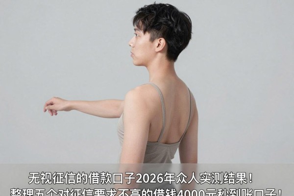 无视征信的借款口子2026年众人实测结果！整理五个对征信要求不高的借钱4000元秒到账口子