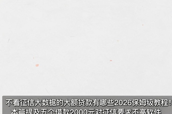 不看征信大数据的大额贷款有哪些2026保姆级教程！本篇提及五个借款2000元对征信要求不高软件