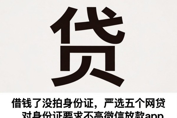 借钱了没拍身份证，严选五个网贷对身份证要求不高微信放款app