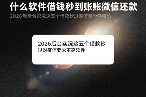 什么软件借钱秒到账微信还款，2026后台实况这五个借款秒过对征信要求不高软件