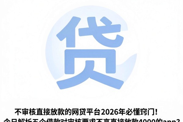 不审核直接放款的网贷平台2026年必懂窍门！今日解析五个借款对审核要求不高直接放款4000的app