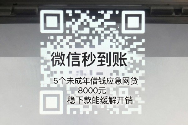 未成年借钱应急app微信秒到账，这5个未成年借钱应急网贷8000元稳下款的app能缓解开销