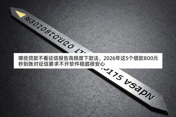 哪些贷款不看征信报告高额度下款法，2026年这5个借款8000元秒到账对征信要求不高软件稳妥很安心