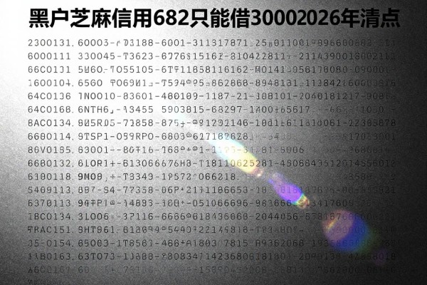 黑户芝麻信用682只能借30002026年清点​这5个！本篇为您全面聚焦！