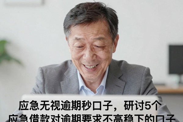 应急无视逾期秒口子，研讨5个应急借款对逾期要求不高稳下的口子