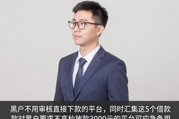 黑户不用审核直接下款的平台，同时汇集这5个借款对黑户要求不高秒放款3000元的平台可应急备用