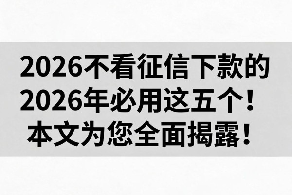 2026不看征信下款的2026年必用这五个！本文为您全面揭露！