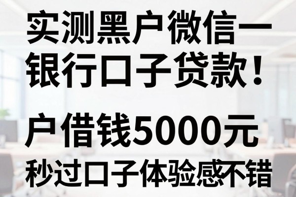 实测黑户微信银行口子贷款！这五个黑户借钱5000元秒过口子体验感不错