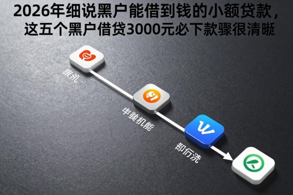 2026年细说黑户能借到钱的小额贷款，这五个黑户借钱3000元必下款的app步骤很清晰