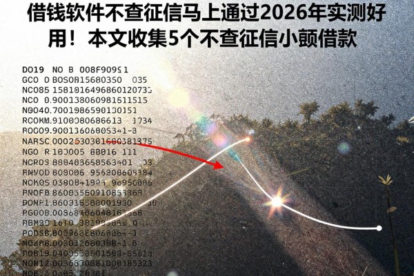 借钱软件不查征信马上通过2026年实测好用！本文收集5个不查征信小额借款