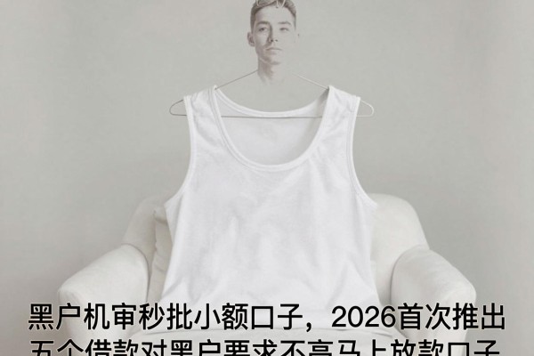 黑户机审秒批小额口子，2026首次推出五个借款对黑户要求不高马上放款口子