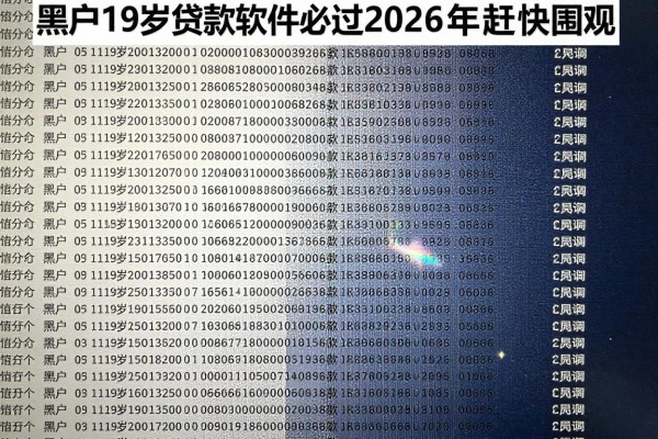 黑户19岁贷款软件必过2026年赶快围观！顺道分享这5个19岁借款20000马上放款对资质要求不高软件